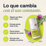 Cardo Mariano | Detox de hígado