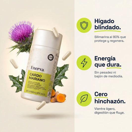Cardo Mariano | Detox de hígado